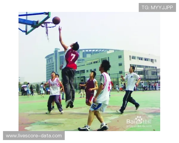 篮球滚球盘平台对比评测避坑防骗指南