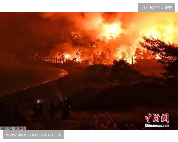 开云体育代理提成比例避坑指南电子真人防骗技巧